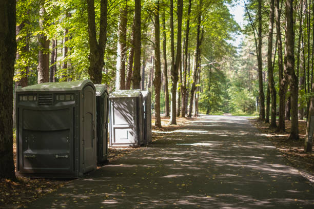 Best Porta potty delivery and setup  in Taylorvle, IL