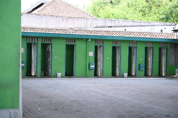 Best Local porta potty services  in Taylorvle, IL
